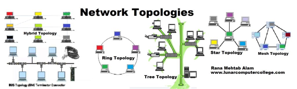 Computer Network Topologies | Lunar Computer College